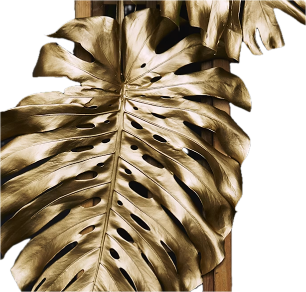 Tree of golden Studio